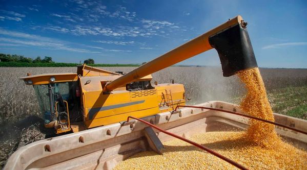 Market forecast: Brazil calls the shots