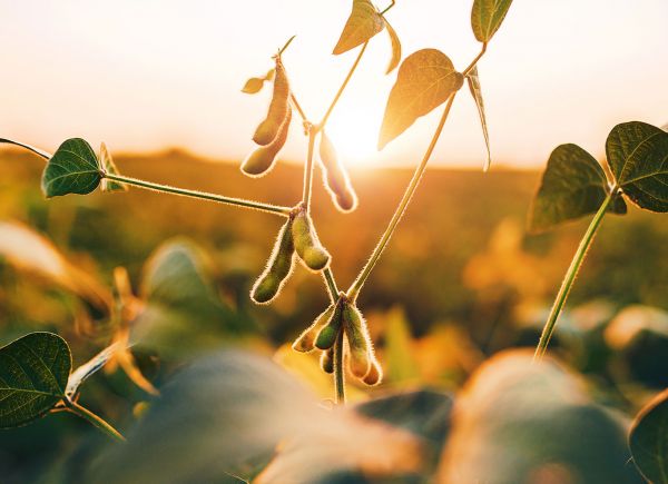 ATI Newsletter 2023 - Week 15