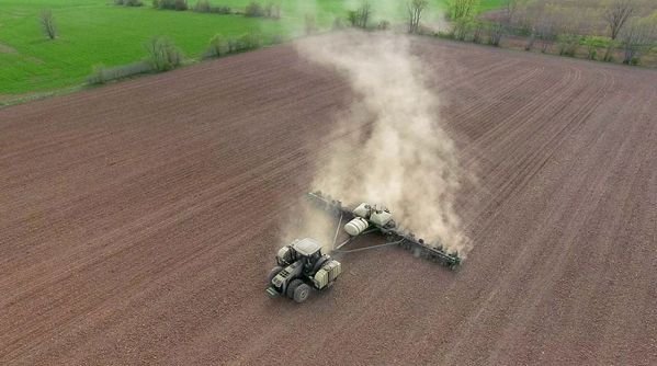 Does early planting forecast a large crop?