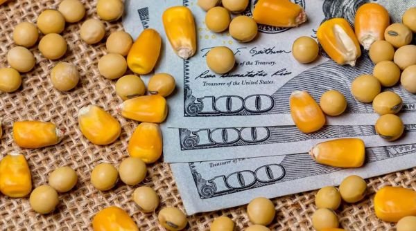 Move on 2026 and 2027 grain prices before Aug. 12 USDA report