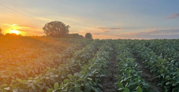 ATI Newsletter 2023 - Week 38