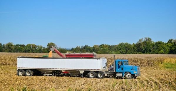 Keep Track of Numbers