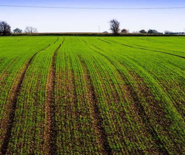 ATI Newsletter 2023 - Week 30