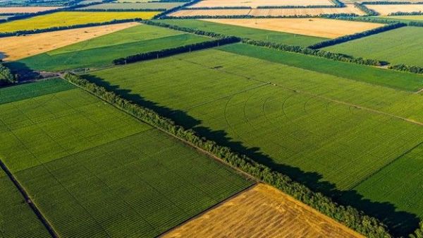 How this week’s USDA report could impact profits