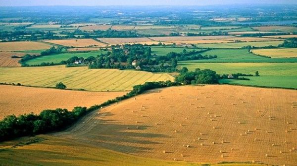 ATI Newsletter 2023 - Week 32