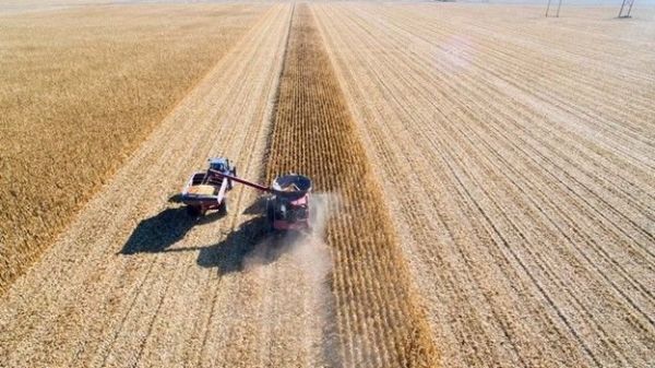 ATI Newsletter 2023 - Week 35