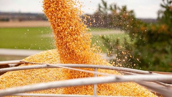 ATI Newsletter 2023 - Week 44