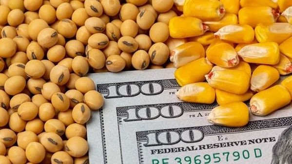 Corn, soybean pricing strategies in a volatile market
