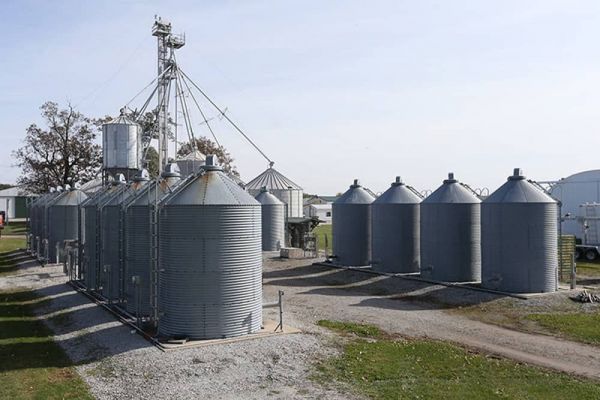 Basting: USDA’s January WASDE Report ‘Negative’ for Grain Markets