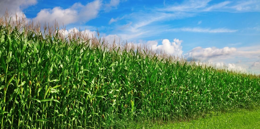 Advance Trading in Wisconsin, an independent Commodity Brokerage Firm, offers ag risk management