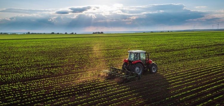 Advance Trading in North Dakota, an independent Commodity Brokerage Firm, offers ag risk management