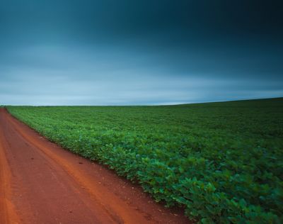 South American Production Questions Linger