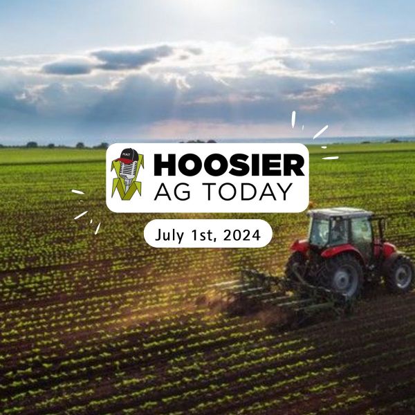 Brian Basting on Hoosier Ag Today Podcast