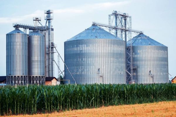 USDA Raises Corn Production, Lowers Corn Stocks in July WASDE Report