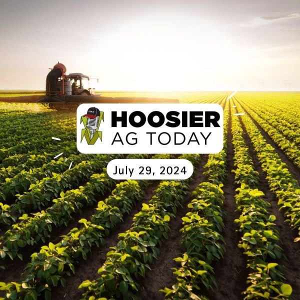 Brian Basting on Hoosier Ag Today Podcast