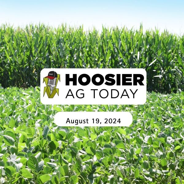 Brian Basting on the Hoosier Ag Today Podcast