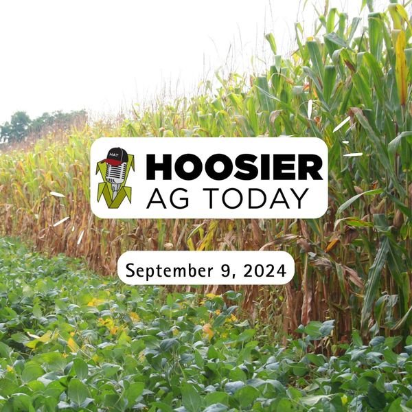 Brian Basting on the Hoosier Ag Today Podcast 