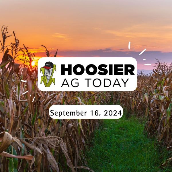 Brian Basting on the Hoosier Ag Today Podcast