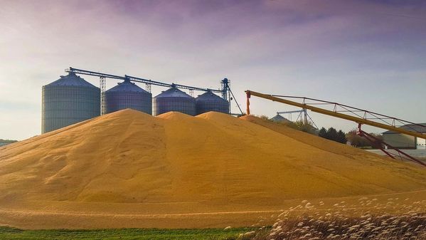 Are the harvest lows in for corn and soybeans?