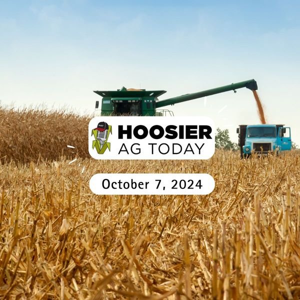 Brian Basting on the Hoosier Ag Today Podcast