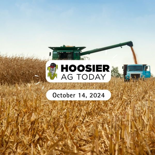 Brian Basting on the Hoosier Ag Today Podcast