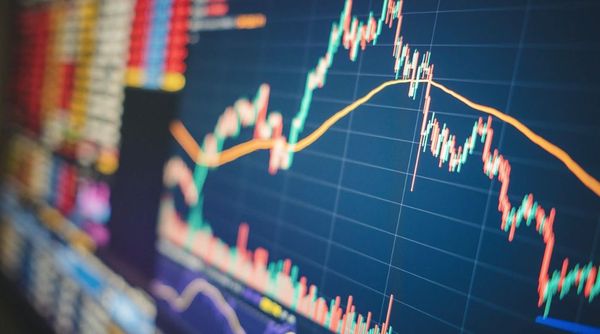Which Grain Market Strategies Work in a Down Market?