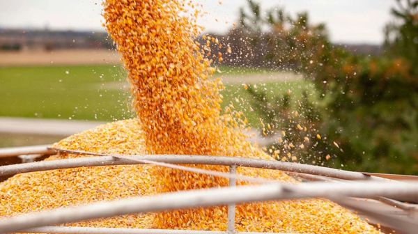 What if USDA yield assumptions are too optimistic?